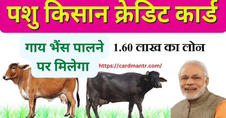 Now farmers will get Pashu Kisan Credit Card for raising cow buffalo