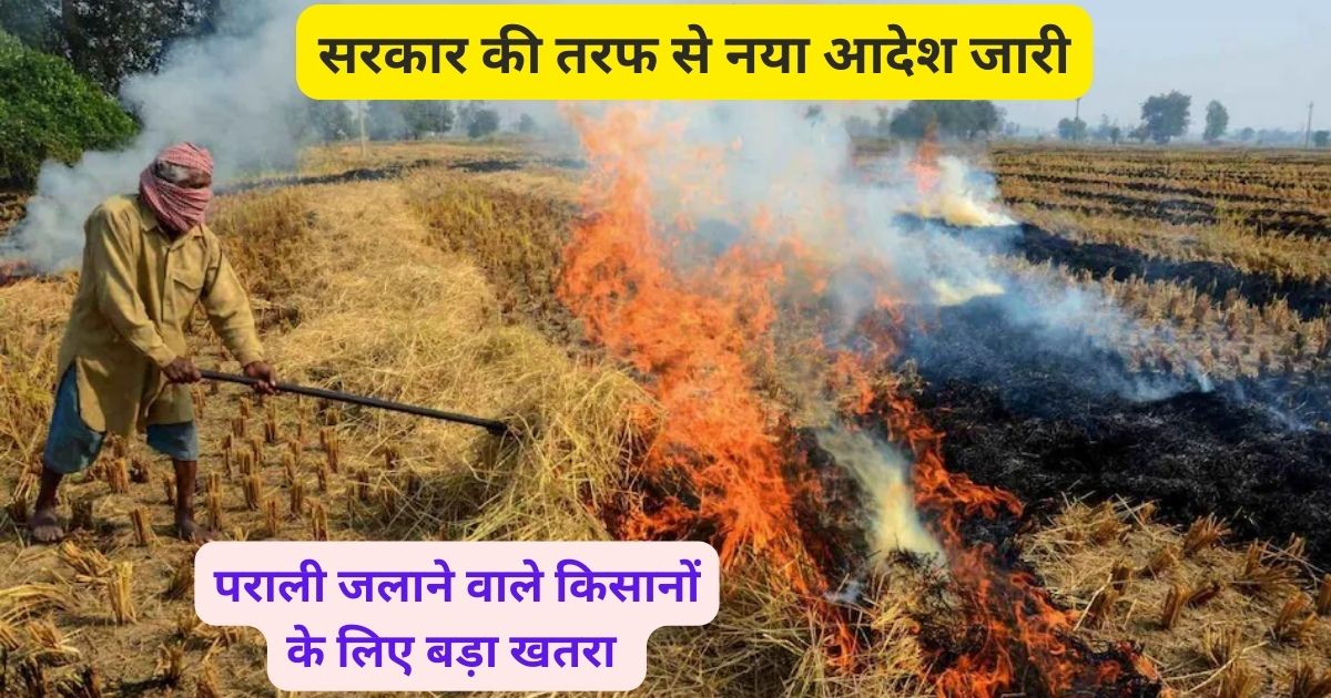 Farmers who burn stubble in the fields will not get the benefit of PM Kisan Yojana