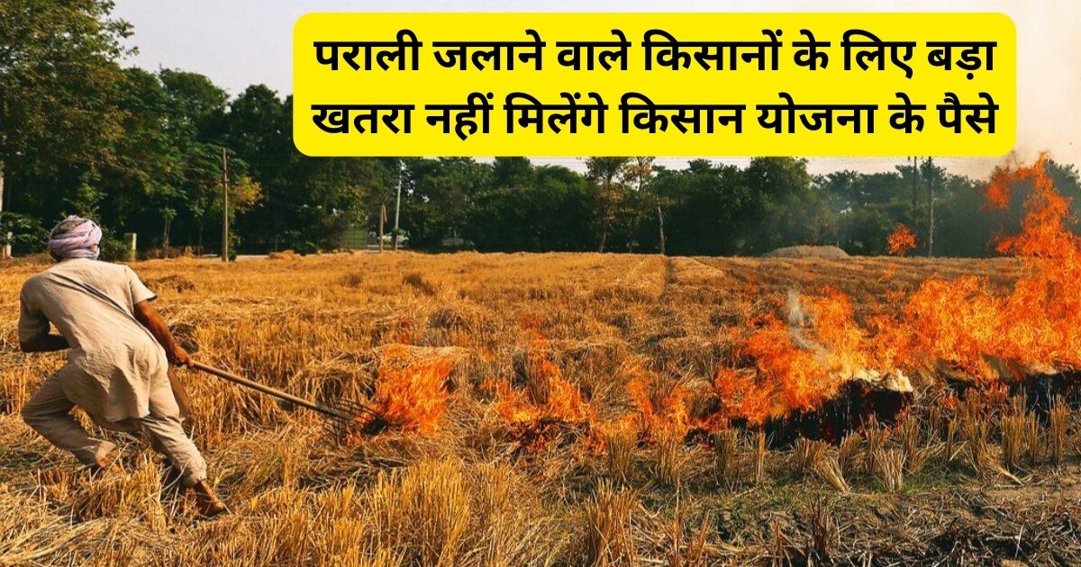 Farmers who burn stubble will not get a big danger for farmers scheme money